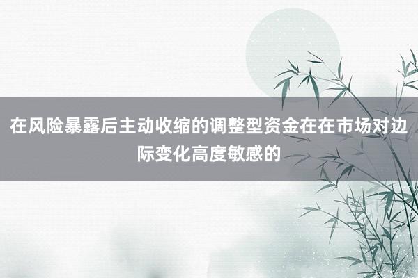 在风险暴露后主动收缩的调整型资金在在市场对边际变化高度敏感的