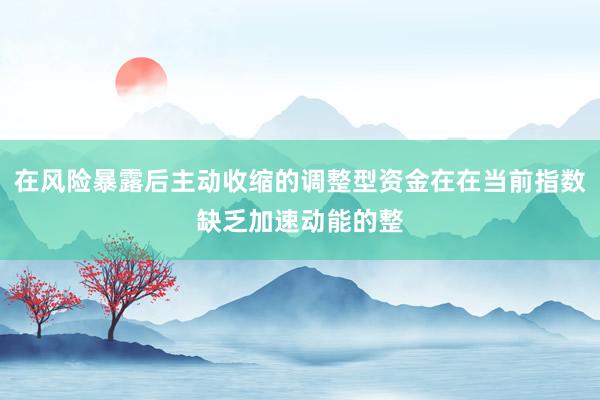 在风险暴露后主动收缩的调整型资金在在当前指数缺乏加速动能的整