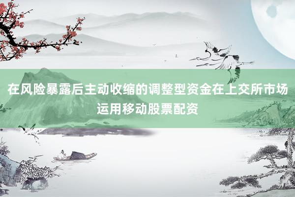 在风险暴露后主动收缩的调整型资金在上交所市场运用移动股票配资