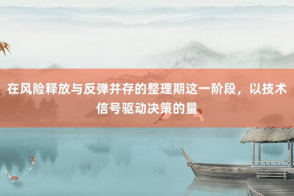 在风险释放与反弹并存的整理期这一阶段，以技术信号驱动决策的量