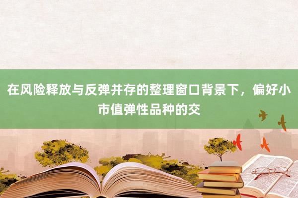 在风险释放与反弹并存的整理窗口背景下，偏好小市值弹性品种的交