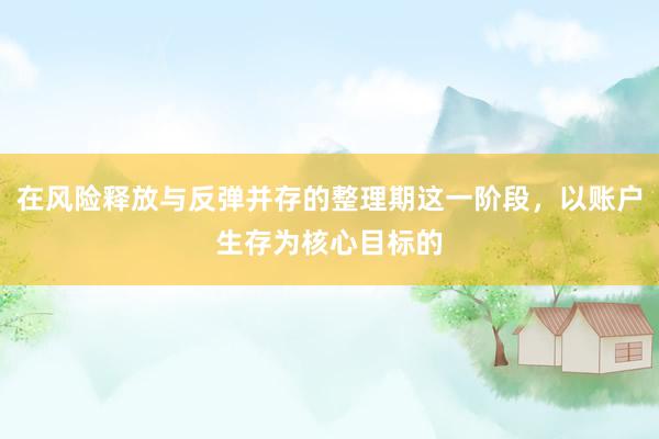 在风险释放与反弹并存的整理期这一阶段，以账户生存为核心目标的