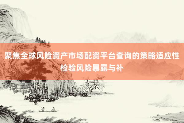 聚焦全球风险资产市场配资平台查询的策略适应性检验风险暴露与补