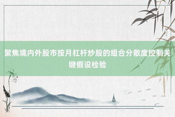 聚焦境内外股市按月杠杆炒股的组合分散度控制关键假设检验