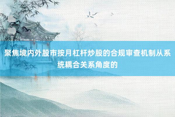 聚焦境内外股市按月杠杆炒股的合规审查机制从系统耦合关系角度的