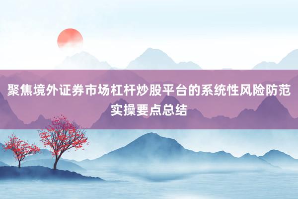 聚焦境外证券市场杠杆炒股平台的系统性风险防范实操要点总结