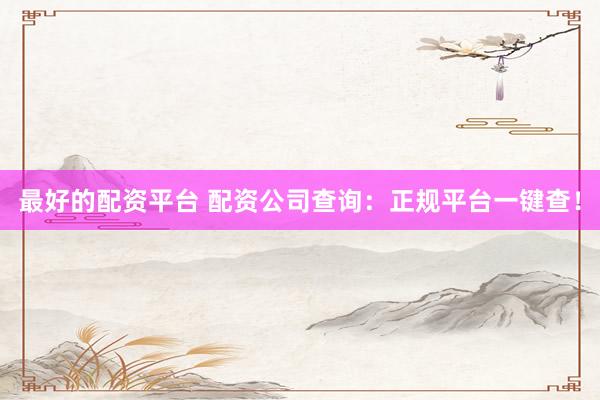 最好的配资平台 配资公司查询：正规平台一键查！